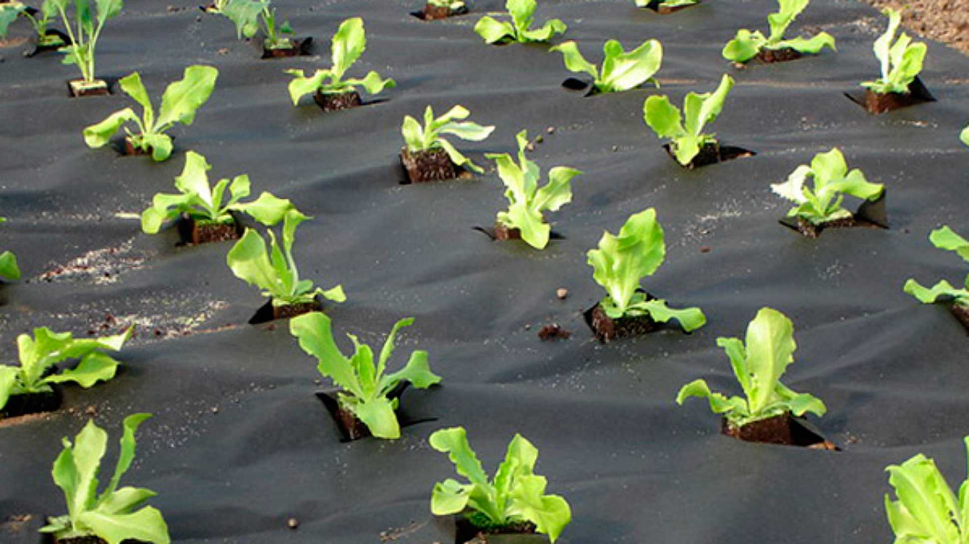 Agrovolokno 1280x720
